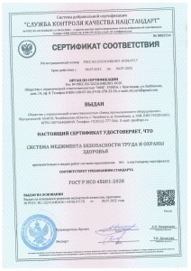 Система менеджмента безопасности труда и охраны здоровья