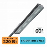Уличный светодиодный светильник ZPOSVET.LN.220.60.STREET2